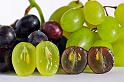 Socni plod grozde